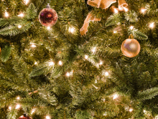 christmas tree with lights