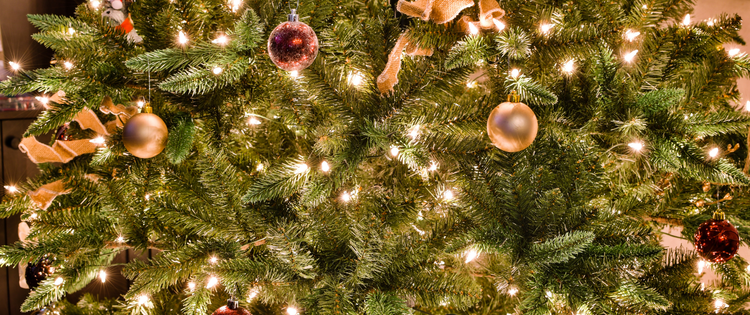 christmas tree with lights