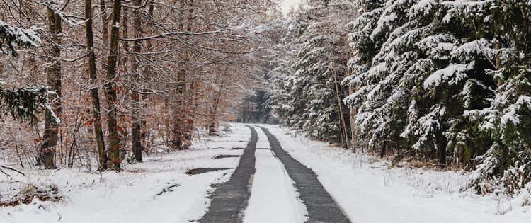 Snow covered road with trees on either side,