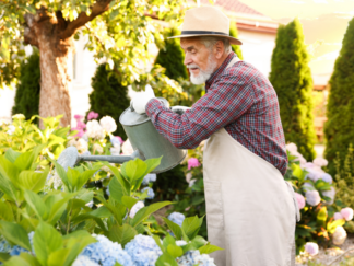 elderly man gardening and watering plants