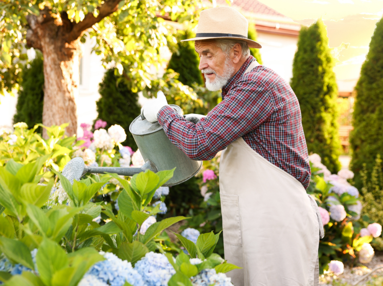elderly man in garden watering plants